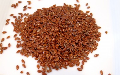 The Health Benefits of Flax Seeds