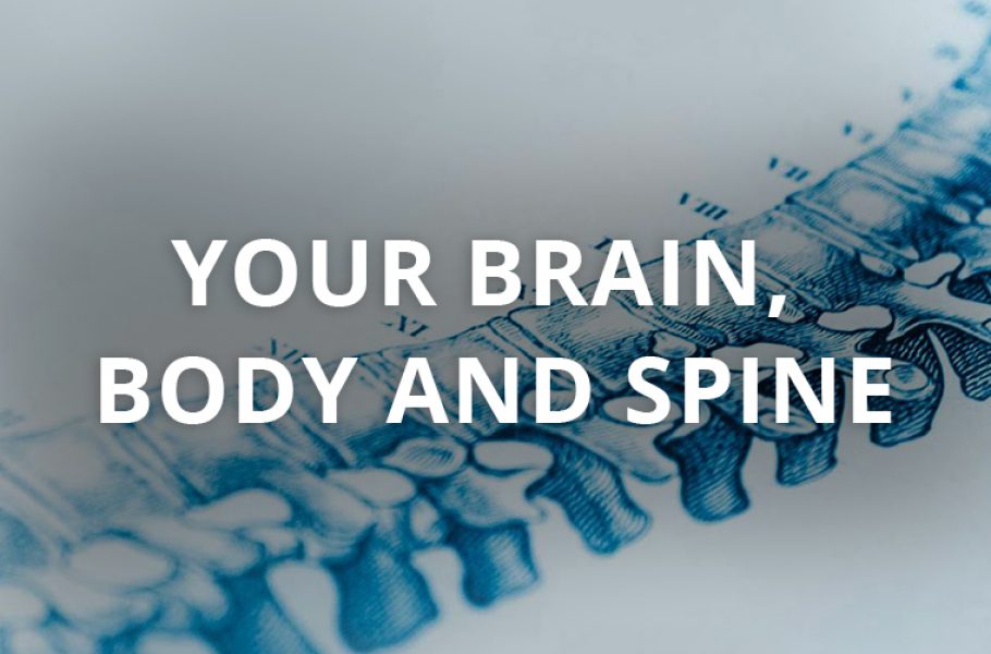 03-brain-body-spine