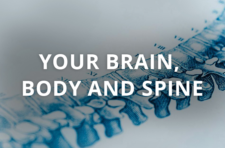 YOUR BRAIN, BODY AND SPINE