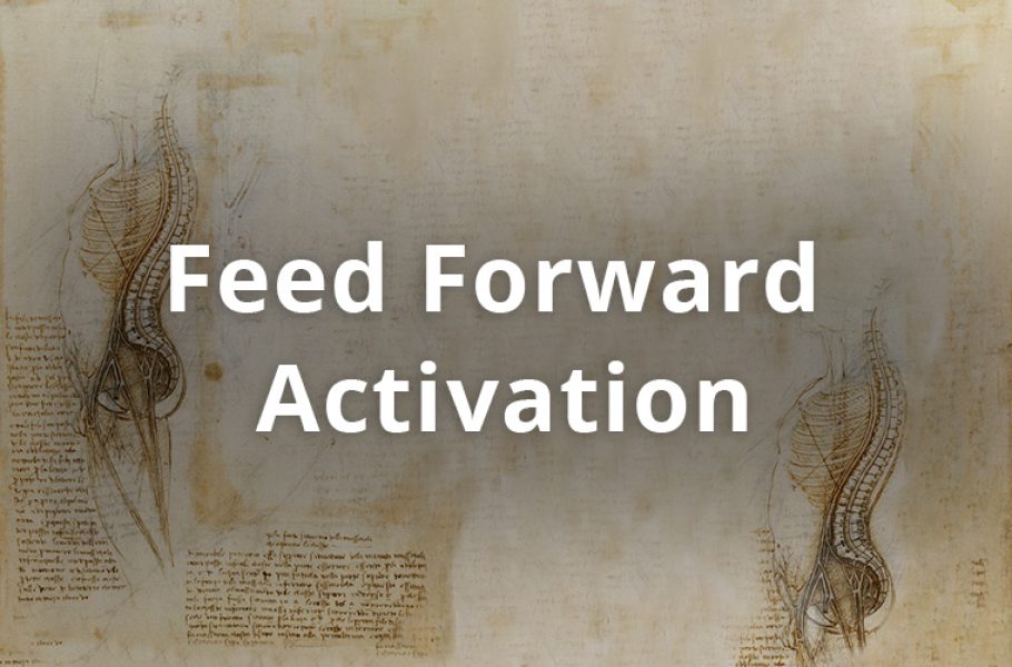 05-feed-forward