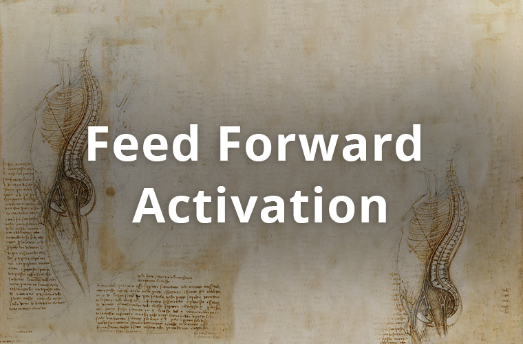 Feed Forward Activation